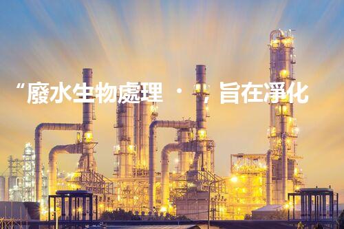 “廢水生物處理，旨在凈化水源，守護(hù)碧水藍(lán)天”